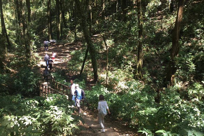 Inthanon Small-Group with Kew Mae Pan Trail from Chiang Mai include Lunch - Wachirathan Waterfall starts the nature show