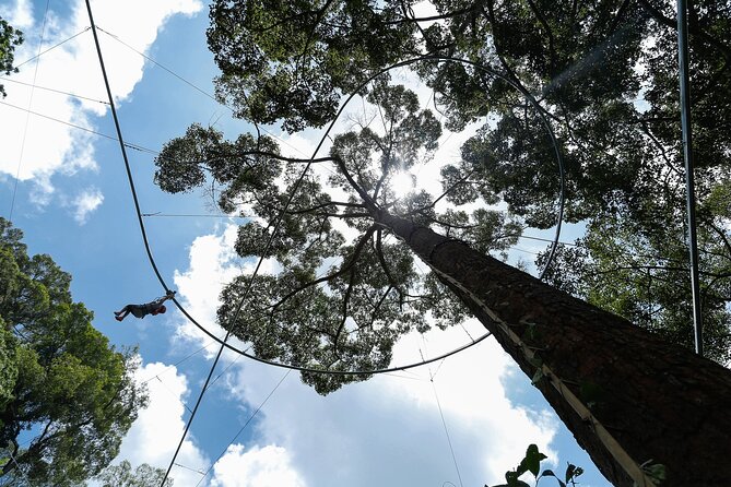 Jungle Flight Zipline Adventure From Chiang Mai - The scenery beyond the zipline course