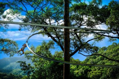 Jungle Flight Zipline Roller Coaster