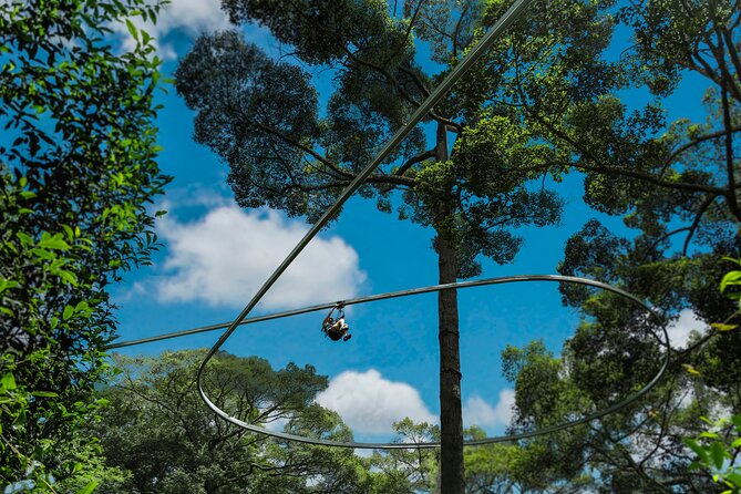 Jungle Flight Zipline Roller Coaster - How difficult is the course?