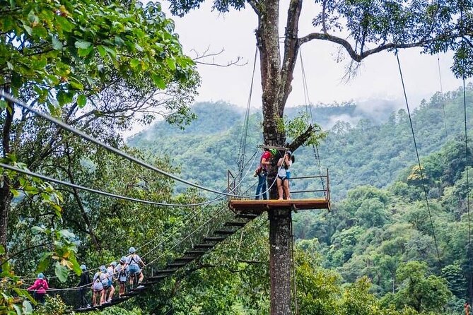 Kingkong Smile Zipline Adventure Tour From Chiang Mai - Timing, groups, and the small service risk
