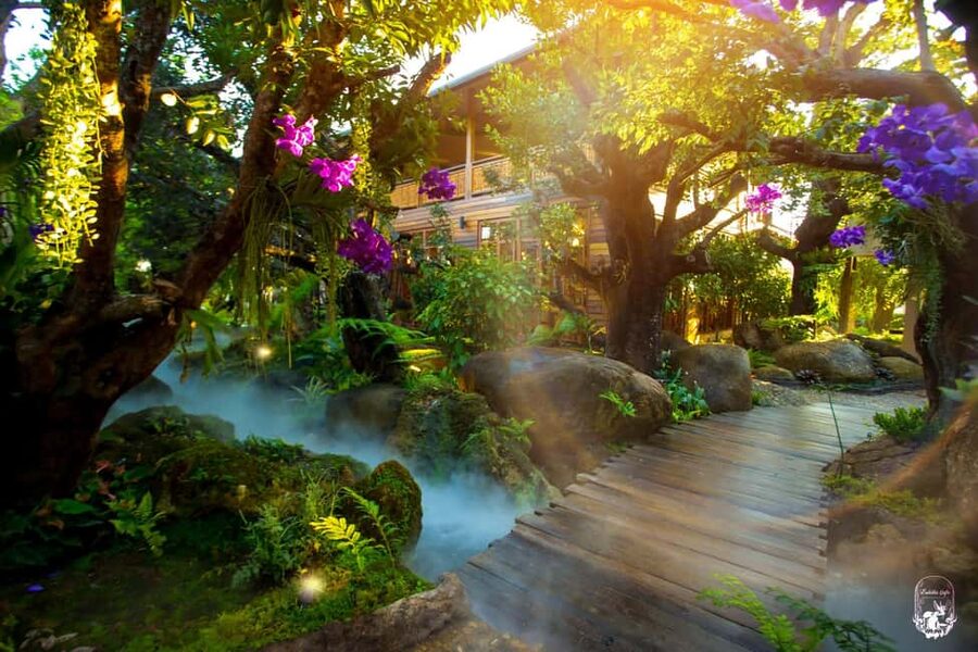 Lalita Cafe & Chiang Rai Temple(White+Blue) from Chiangmai - Key points at a glance