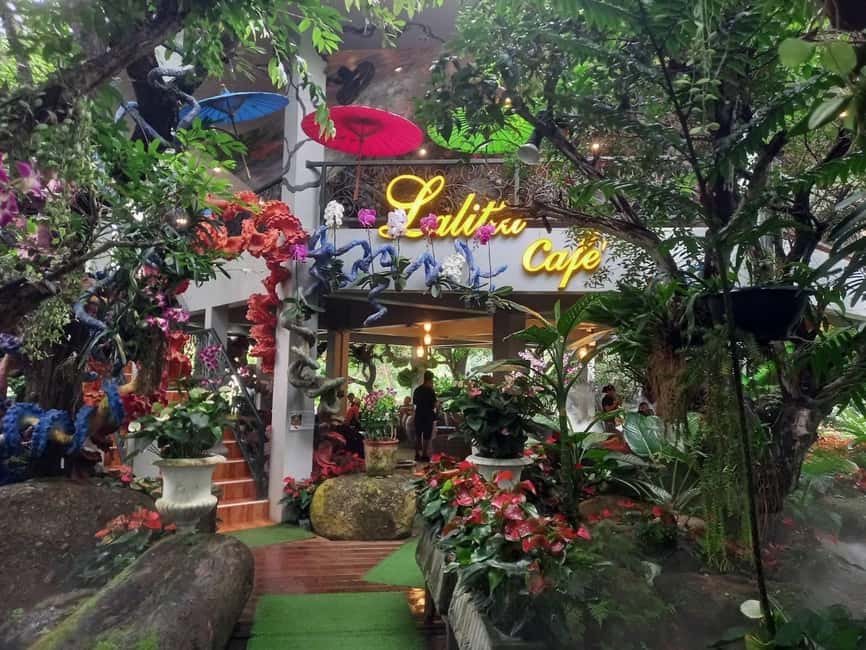 Lalita Cafe & Chiang Rai Temple(White+Blue) from Chiangmai - Who should book this experience