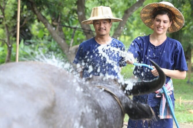 Local Farming Experience in Chiang Mai, Thailand - Rice farming with Uncle Serd at Hang Tueng Farm