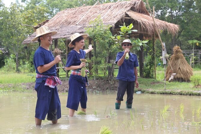 Local Farming Experience in Chiang Mai, Thailand - What the $58.60 price buys you
