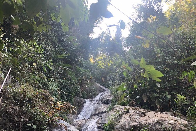 Lost in Chiang Mai - Secret Village, Hot Spring & Waterfall - A Cultural Therapy - Mae Kampong Village: water, coffee, and a slower rhythm