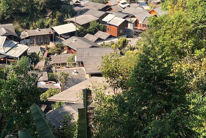 Lost in Chiang Mai - Secret Village, Hot Spring & Waterfall - A Cultural Therapy - The waterfall walk and the 1,000-year-old tree