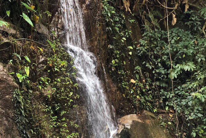 Lost in Chiang Mai - Secret Village, Hot Spring & Waterfall - A Cultural Therapy - The price and what you receive