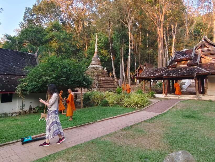 Monk trails hike, Wat Phalat, Monk chanting, Wat Doi Suthep. - What $44 includes, and what it does not