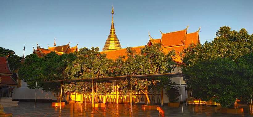 Monk trails hike, Wat Phalat, Monk chanting, Wat Doi Suthep. - Who will enjoy this Chiang Mai temple tour
