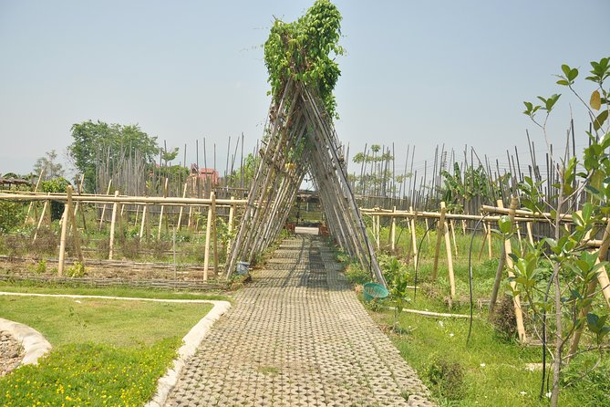 Morning Cooking Class in Organic Farm with Local Market Tour - What may not suit everyone