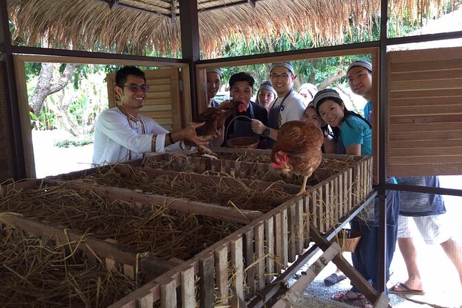 Morning Cooking Class in Traditional Pavilion with Beautiful Garden - Chiang Mai - Cooking three dishes at your own station