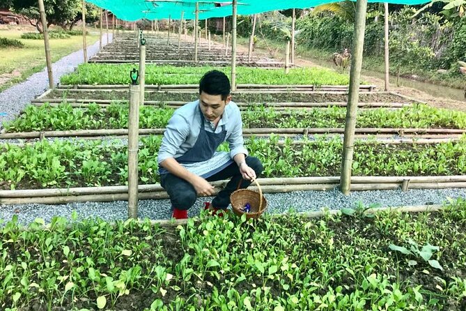 Morning Cooking Class in Traditional Pavilion with Beautiful Garden - Chiang Mai - Price and the value of the farm setting