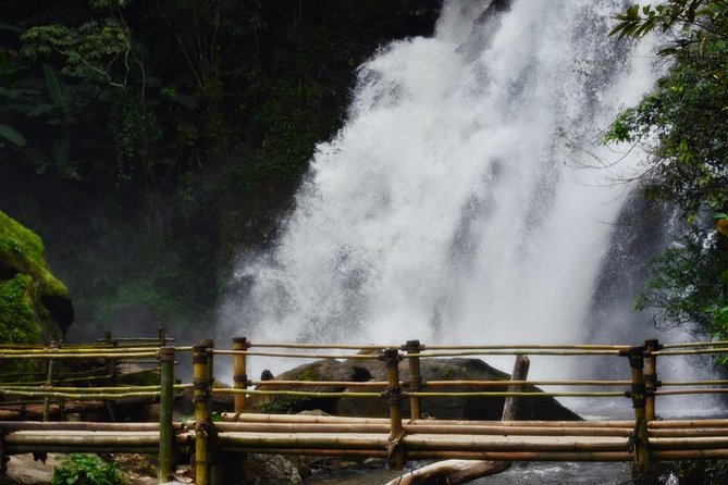 Mount Doi Inthanon Hiking & Bird Watching - The 1.5-hour walk with a Karen guide