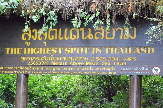 Mount Doi Inthanon Hiking & Bird Watching - Rice fields, flowers, and traditional coffee
