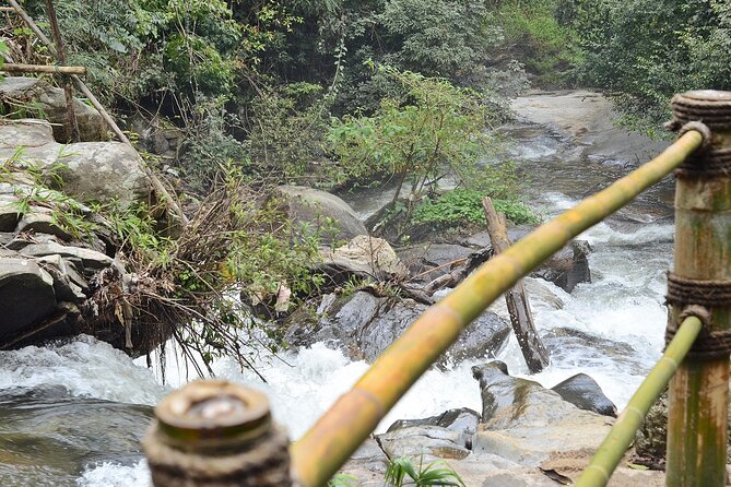 Mount Doi Inthanon National Park Sunrise and Hiking - Coffee in Mae Khlang Luang Village