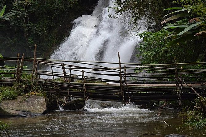 Mount Doi Inthanon National Park Sunrise and Hiking - Guide quality and what to expect