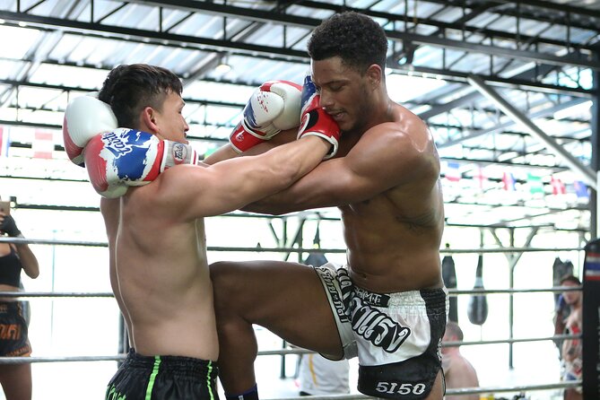 Muay Thai Experience - 1/2 Day - The 10:30 a.m. training session