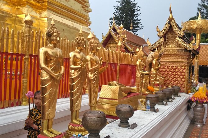No.1 Chiang Mai: 3-Hour Monk Trail Hike to Wat Doi Suthep & Palad - Fire season and the changing route