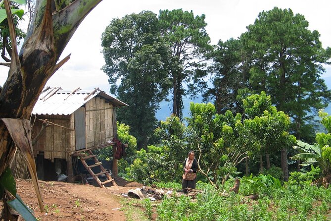 No.1 Chiang Mai: Advanced Downhill Mountain Biking, Suthep N.Park - Who should book this downhill ride