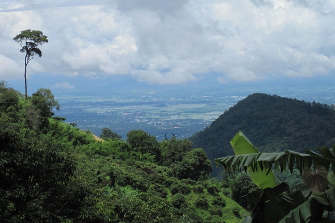 No.1 Chiang Mai: Advanced Downhill Mountain Biking, Suthep N.Park - Useful planning details for a smooth morning
