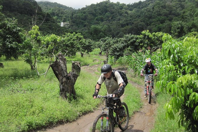 No.1 Chiang Mai: Advanced XC Downhill Biking, Doi Suthep N. Park - From Doi Pui summit to the forest tracks