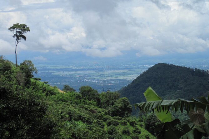 No.1 Chiang Mai: Advanced XC Downhill Biking, Doi Suthep N. Park - Safety equipment and support on the mountain