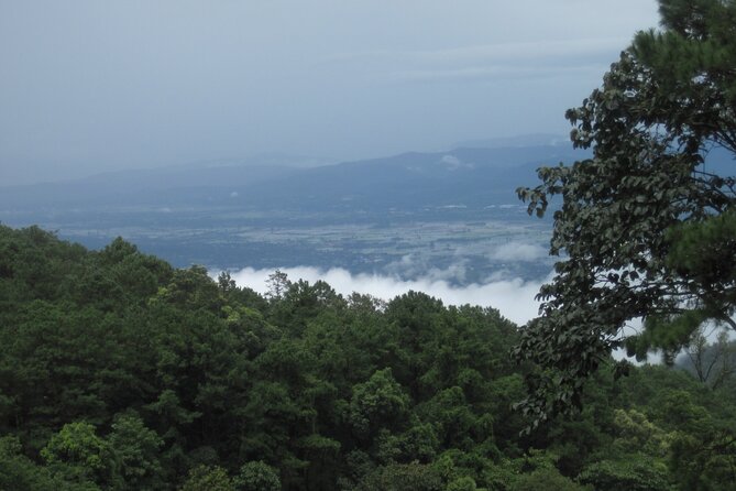 No.1 Chiang Mai: Advanced XC Downhill Biking, Doi Suthep N. Park - How much value do you get for $80.67?