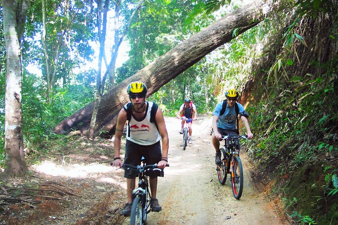 No.1 Chiang Mai: Advanced XC Downhill Biking, Doi Suthep N. Park - Forest roads, plantations, and quiet single-track
