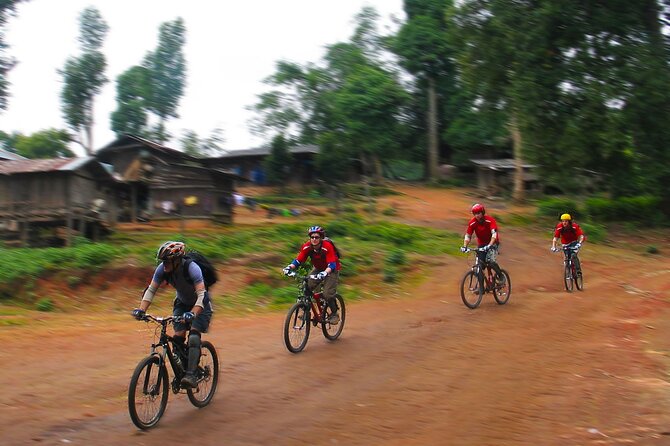 No.1 Chiang Mai: Epic Doi Suthep Downhill MTB Adventure - The rough route through jungle and plantations