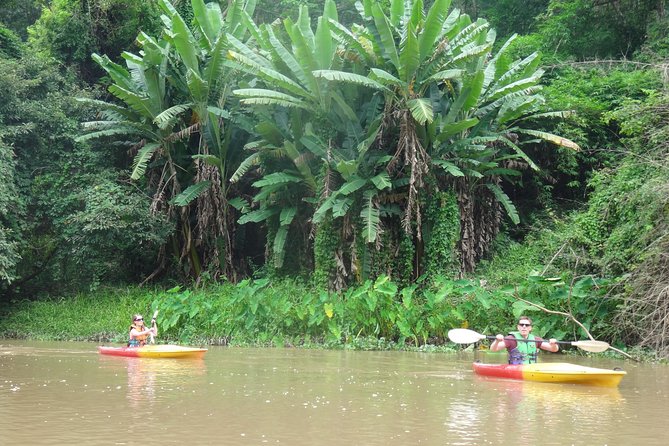 No.1 Chiang Mai: Leisure River Kayaking: Mae Taeng forest Reserve - Lunch beside the water