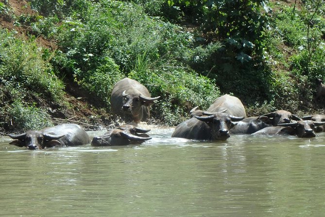 No.1 Chiang Mai: Leisure River Kayaking: Mae Taeng forest Reserve - What the support system adds
