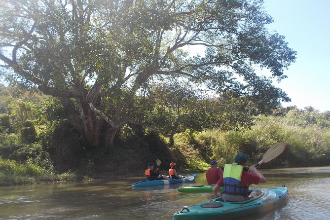 No.1 Chiang Mai: Leisure River Kayaking: Mae Taeng forest Reserve - Learning to steer before the river opens up