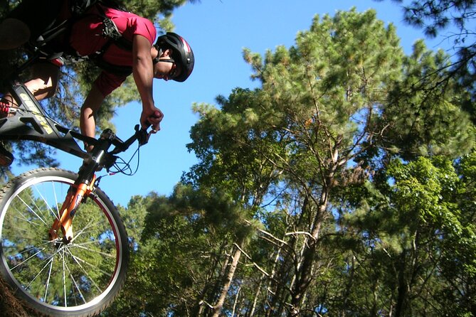 "No.1 Chiang Mai: Suthep N. Park Leisure walks & Mountain Biking" - Why this tour works as a Chiang Mai day out