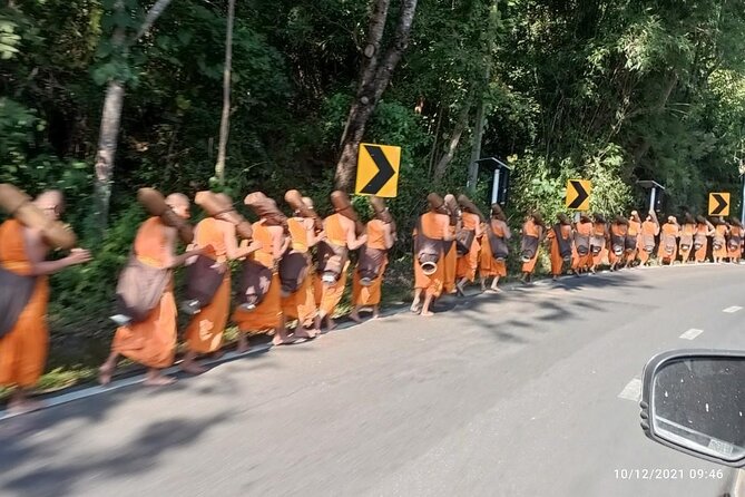 "No.1 Chiang Mai: Suthep N. Park Leisure walks & Mountain Biking" - Monthatan Waterfalls starts the day in the forest