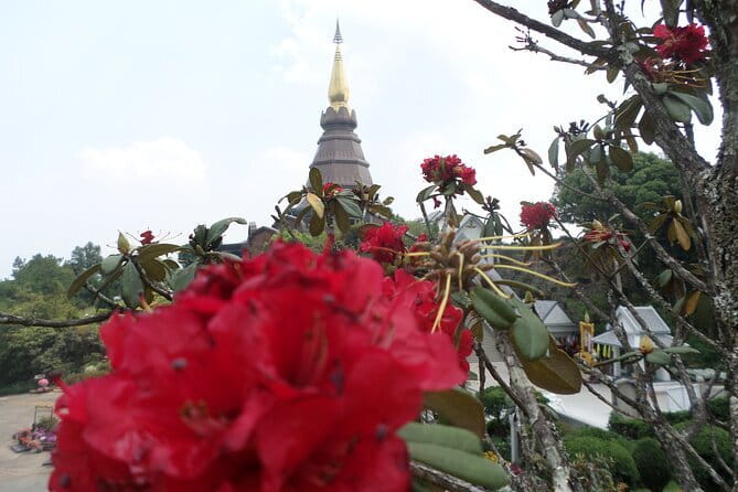 One day Doi Inthanon National Park & Trekking on Kew Mae Pan - Lunch, transport, and what the price covers