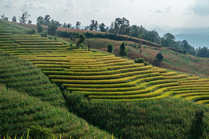One day Doi Inthanon & Trekking at Pha Dok Siew - Why Doi Inthanon works well as a day trip