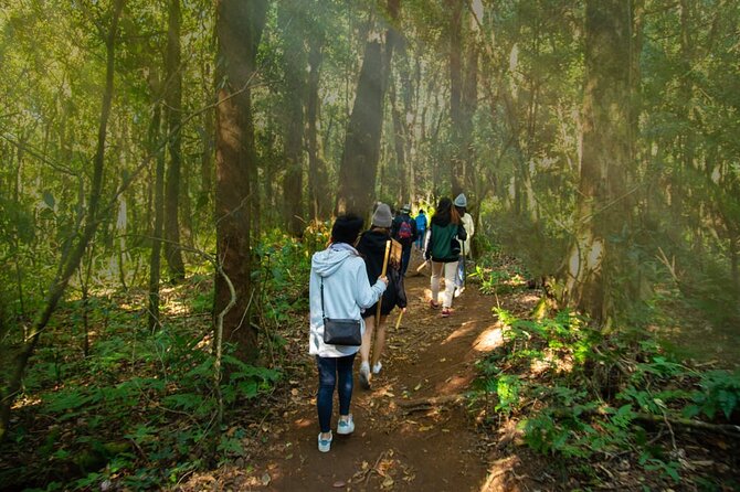 One day Doi Inthanon & Trekking at Pha Dok Siew - Two hours through forest, water, and bamboo