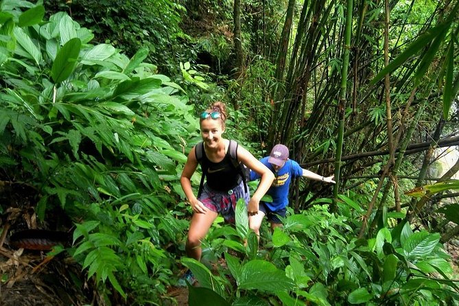 One Day Hiking and Elephant experience by Chiang Mai Elephant Home - A full day with elephants, water, and jungle trails
