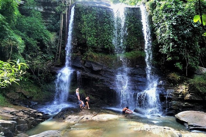 One Day Hiking and Elephant experience by Chiang Mai Elephant Home - Two hours through jungle, farms, and rice terraces