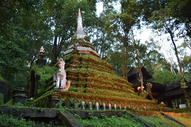 One Day Tour Doi Suthep Temple, Palad Temple, Orchid Farm, Longneck hill tribe village (Private tour) - Orchid flowers and butterflies in a 30-minute stop