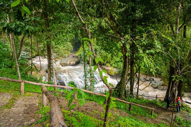 Pha Dok Siew Nature Trail & Doi Inthanon National Park From Chiang Mai - Karen village, Hmong market, and mountain coffee