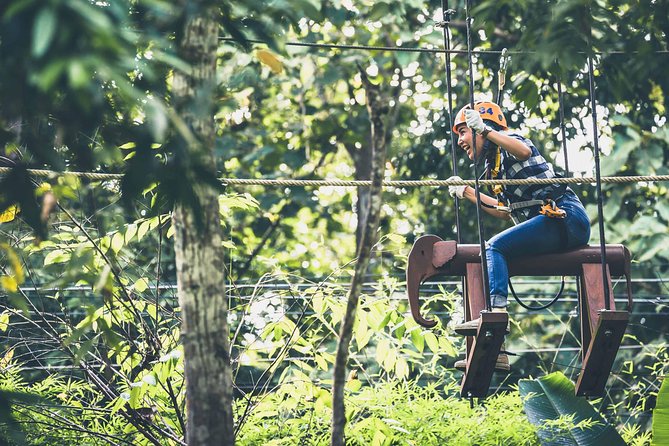 Phoenix Zipline Adventure Park – Chiang Mai Thrills - Is $37.65 good value?