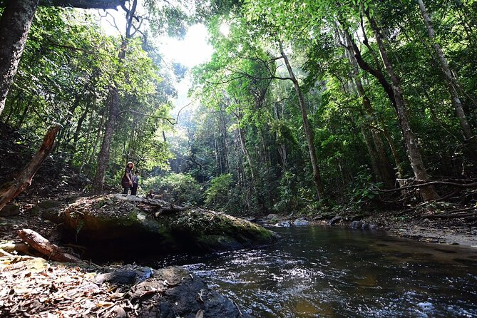 Private All-Inclusive Doi Inthanon & Pha Dok Siew Waterfall Tour - The Royal Twin Pagodas provide the strongest photo stop