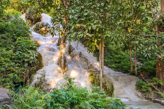 Private Tour: Bua Thong Sticky Waterfalls Tour - Why Bua Thong is called Sticky Falls