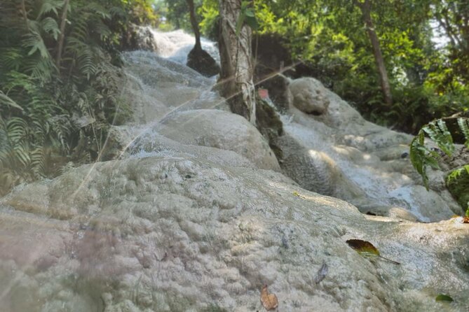 Private Tour: Bua Thong Sticky Waterfalls Tour - What the private format adds