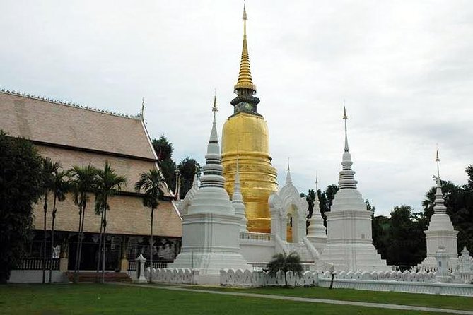 Private Tour: Chiang Mai City and Temples - Wat Suan Dok and the white memorial chedi