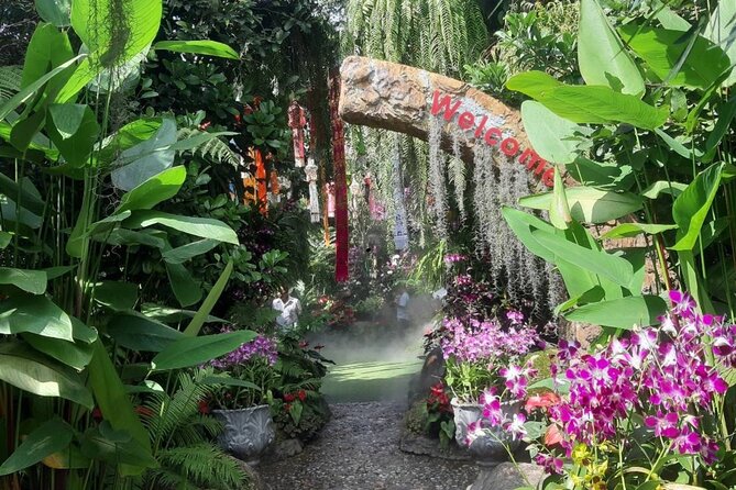 Private Tour Chiang Rai 3 Wonderful Temples & Lalitta Cafe - The long road from Chiang Mai to Chiang Rai