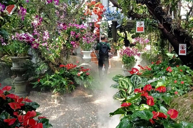 Private Tour Chiang Rai 3 Wonderful Temples & Lalitta Cafe - What the $141 price includes