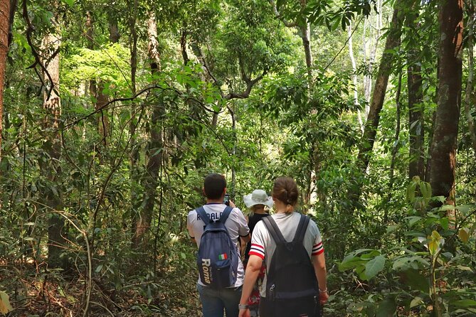 Private Tour Doi Inthanon And Trekking Nature Trail, Chiang Mai - Pha Dok Siew Nature Trail: the heart of the outing